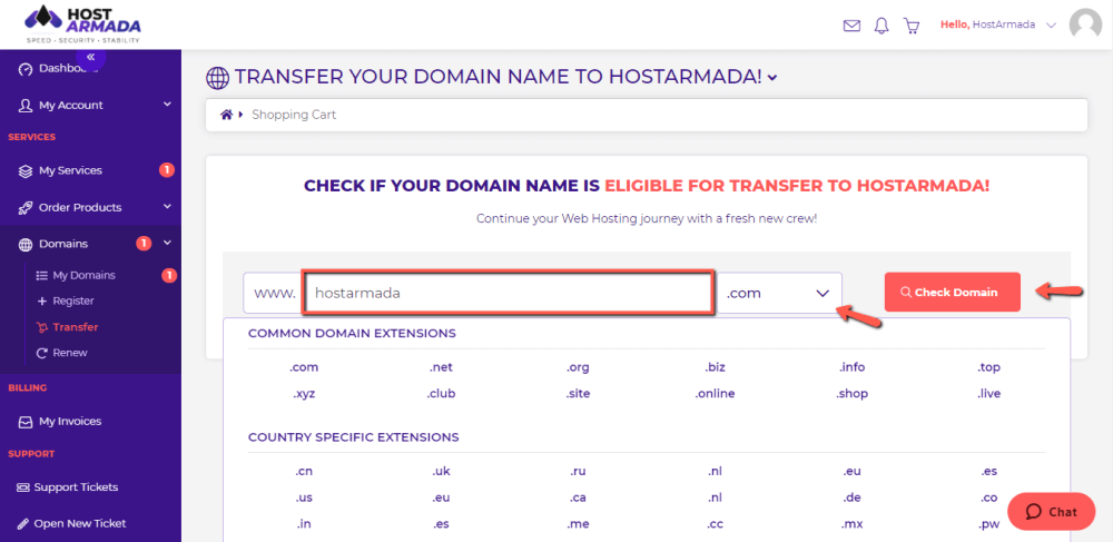 Choose the Domain Name for Transfer