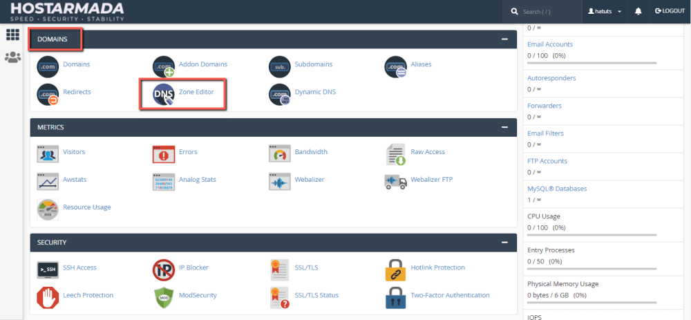 Access the Zone Editor tool in cPanel