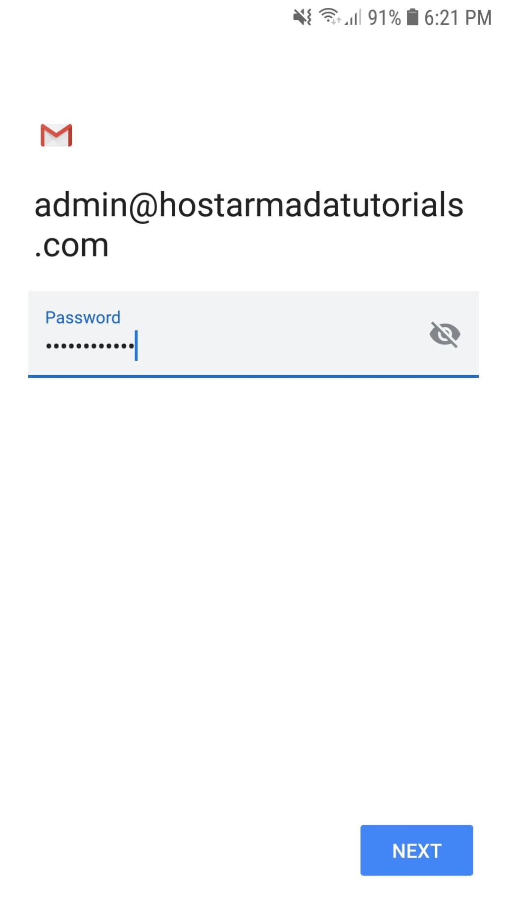 Entering Email Account password