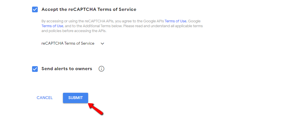 Submitting the Google reCaptcha form