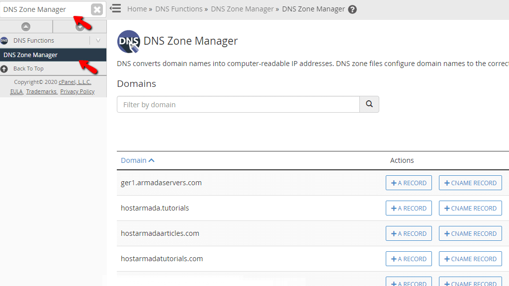Accessing the DNS Zone Manager feature